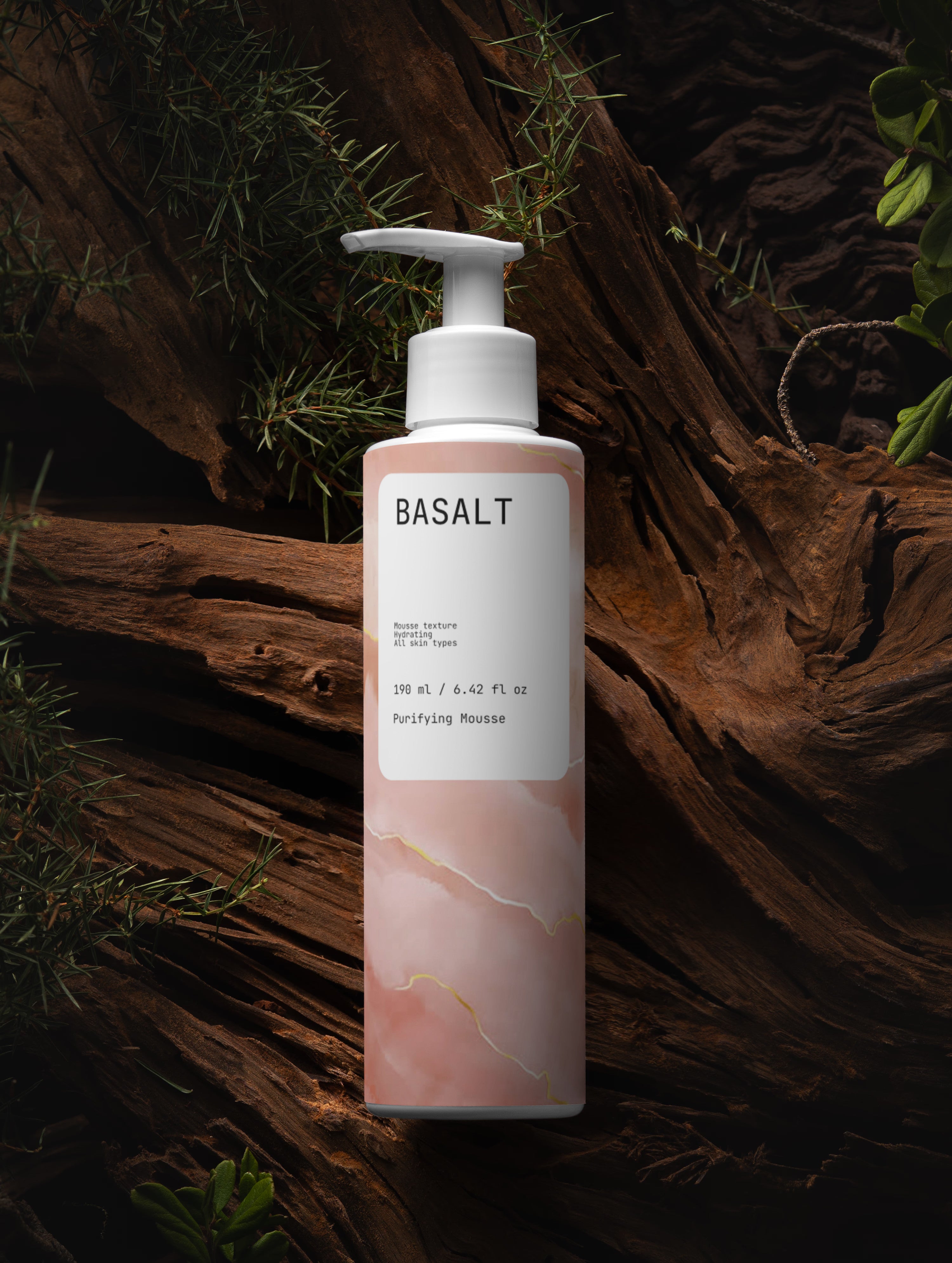 Purifying Mousse