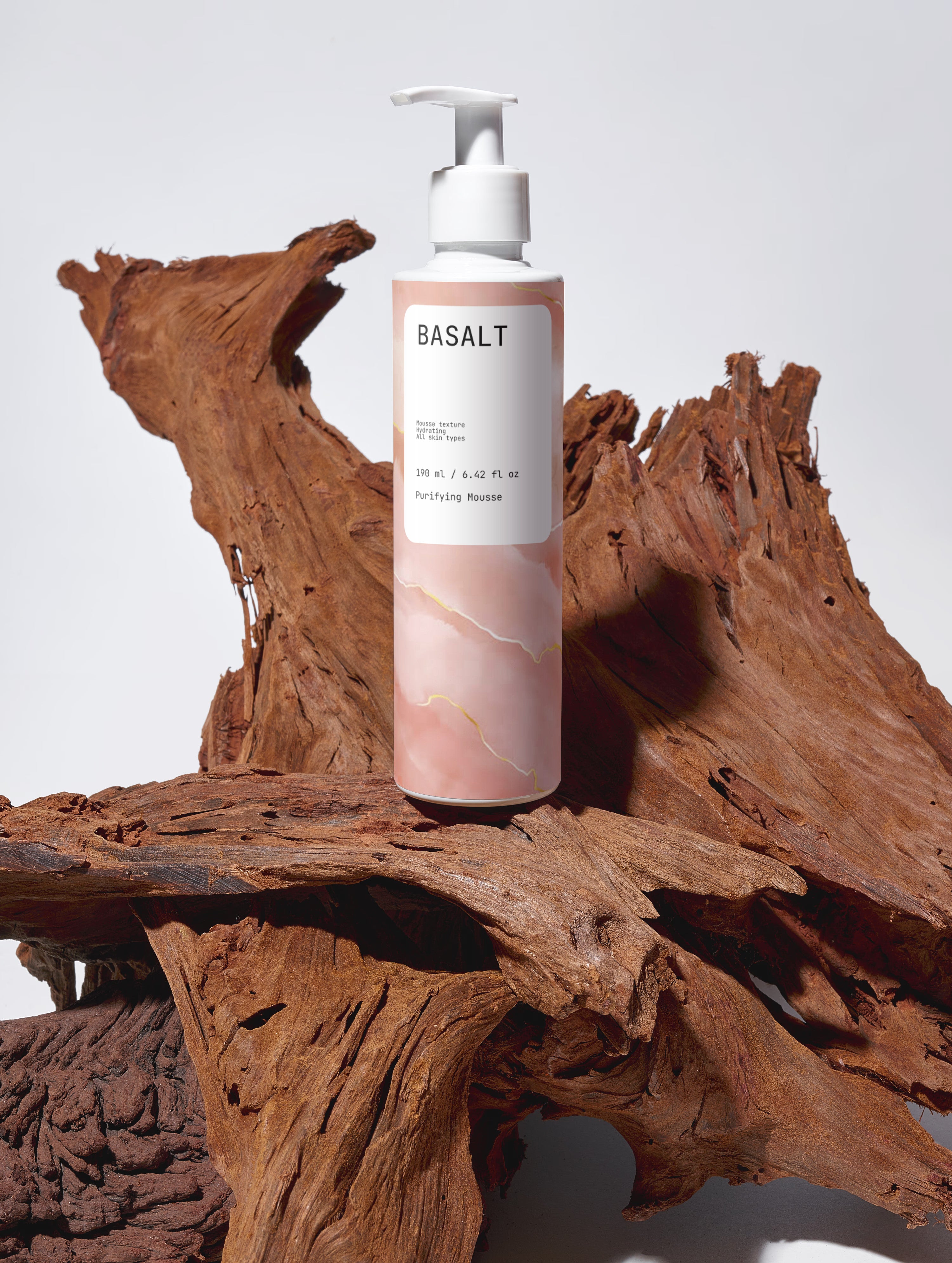 Purifying Mousse